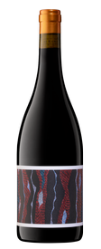 2023 Birdsong Shiraz